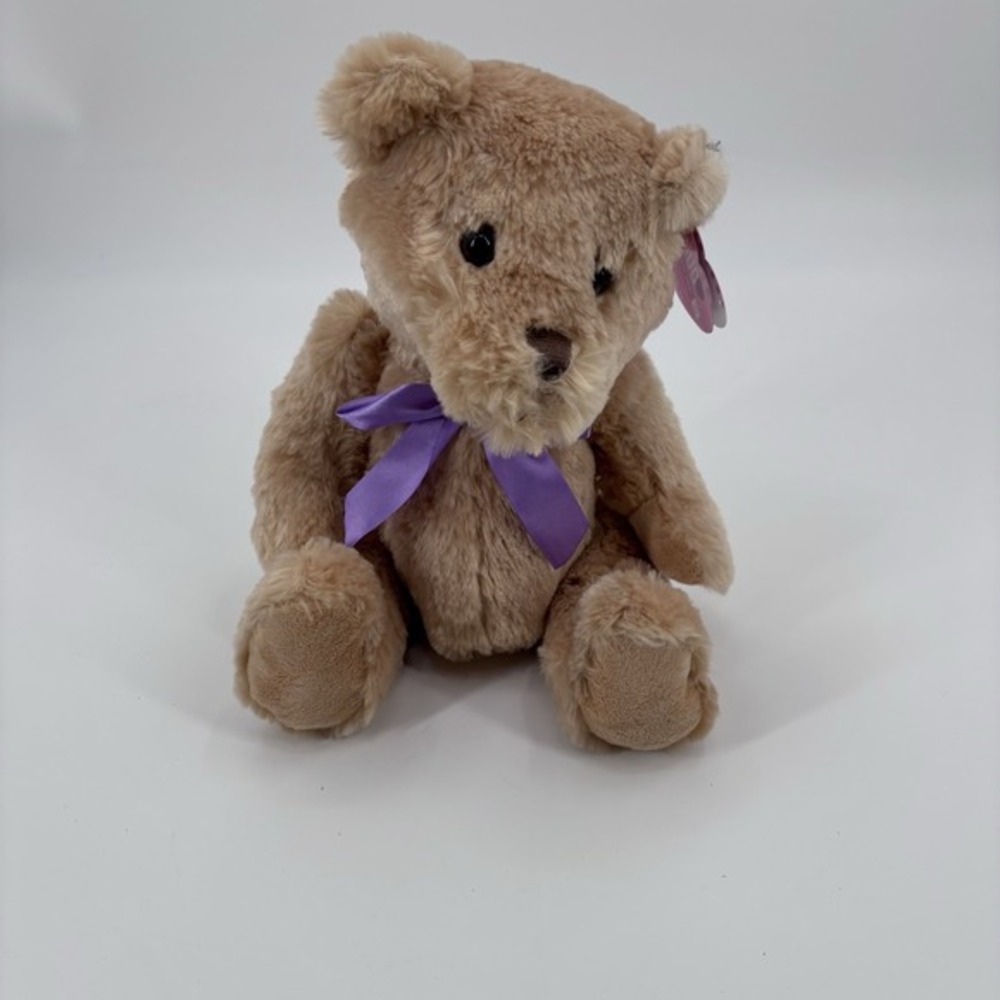 Hug Me Classic Stuffed‎ Teddy bear plush 12 in Retired walgreens exclusive
